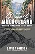 Beneath Mulholland: Thoughts on Hollywood and Its Ghosts