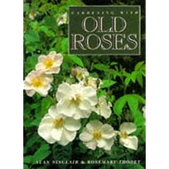 Gardening with Old Roses