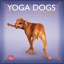 Yoga Dogs 2013 Square 12x12 Wall (Multilingual Edition)
