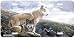 Above the Timberline - Wolves - Wildlife Decor Art Print - License Plate Tag By Terry Isaac From Airstrike
