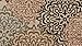 Contemporary Brown and Beige Modern Floral Flowers Area Rug (2' x 3')