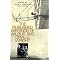 Wright Brothers: Aviation Pioneers