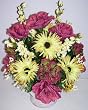 20" Rose, Hydrangea, Zinnia & Delphinium Arrangement