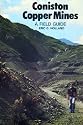 Coniston Copper Mines: A Field Guide