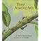 Kindergarten - Additional Explicit Information Books
