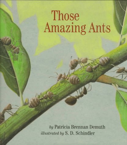 Those Amazing Ants