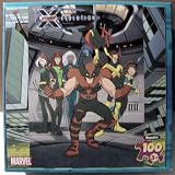 X-Men: Evolution Team