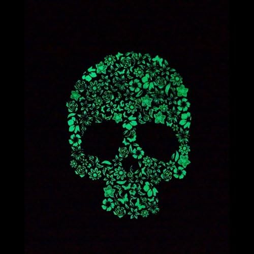 Luminous Effect Fluorescent Glow in the Dark Back Cover Case Unique Lovely Flowers Skull for Iphone 5 5s 5g & Free LCD Film