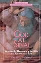 God at Sinai: Covenant and Theophany in the Bible and Ancient Near East (Studies in Old Testament Biblical Theology)