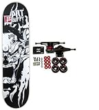 Plan B DUFFY SAMURAI Complete Skateboard 7.5 Wide