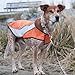 CANINE FRIENDLY High Visibility Dog Vest, Large