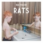 Rats
