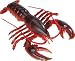 Safari Main Lobster