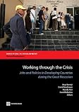 Working through the crisis : jobs and policies in developing countries during the great recession