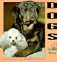 Dogs: The Wolf Within (Understanding Animals)