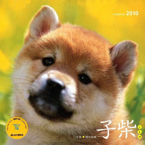 2010子柴[卓上](Yama-Kei Calendar)