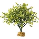 Exo Terra Boxwood Bush Terrarium Plant