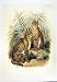C1990 Mammals Felis Serval Cat Family Colour Print