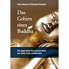 Das Gehirn eines Buddha: Die angewandte Neurowissenschaft von Gl�ck, Liebe und Weisheit