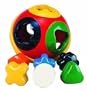 Tolo Toys Rolling Ball Shape Sorter