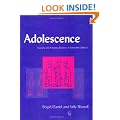 Assessing and Promoting Resilience in Vulnerable Children: Adolescence v.3: Adolescence Vol 3