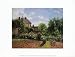 The Artist's Garden at Eragny, 1898 Scenic Art Poster Print by Camille Pissarro, 16x12