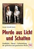  : Pferde aus Licht und Schatten