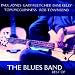 Best of the Blues Band