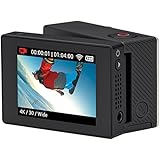 GoPro LCD Touch BacPac (Camera Not Included)