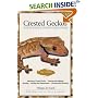 Crested Geckos