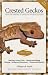 Crested Geckos