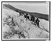 Historic Print (S): [Group of men and women mountaineering on Mount Shasta, Californi...