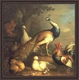 "Peacock, Peahen and Poultry in a Landscape" by Tobias Stranover - Framed Artwork