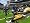 Madden NFL 07 (PC DVD)