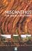 Miscanthus: For Energy and Fibre