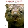 Animal Faces