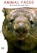 Book Animal Faces