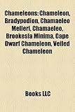 Chameleons: Chameleon-