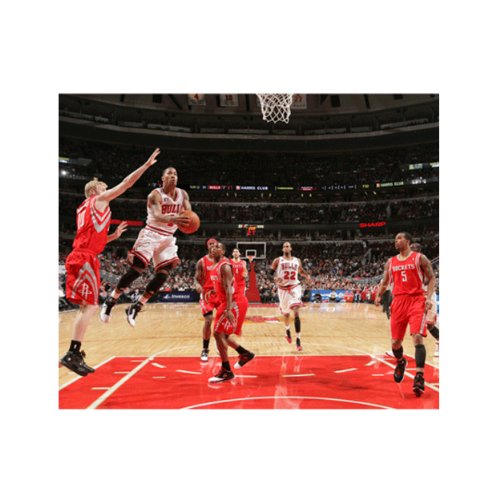 NBA Chicago Bulls 13 X 11" 3-D Photos - Derrick Rose