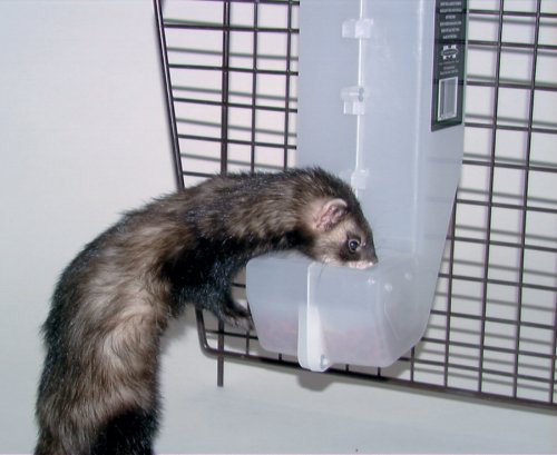 J-Feeder