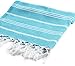 Cacala 100% Turkish Cotton Kitchen Tea Towels, Highly Absorbent Luxury Soft Quick Drying Dish Towel with Hanging Loop for Gym, Yoga, Bath, Sports, Cleaning and Kitchen (23 x 36), Turquoise