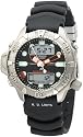 Citizen Men's Aqualand Duplex Dive Watch #JP1040-09E