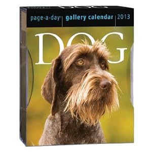 Dog Pictures Gallery