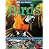 Birds (Eye Wonder)