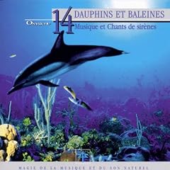 Dauphins et baleines