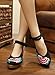 AvaCostume Womens Embroidery Cheongsam Casual Platform Wedges