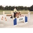 Breyer Trail Class Set
