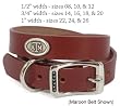 Leather Dog Collar - Collegiate Series (Close Out Sale)
