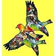 Tanager Shaped Jigsaw Puzzle by Dennis Rogers 1000pc