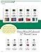 Moneysworth & Best Dress Waxed Colored Shoe Laces 4 Pack - Ocean Colors, 32
